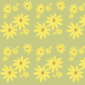 Yellow Daisy