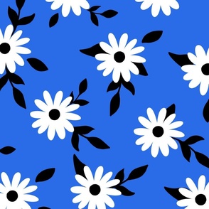 White daisy flowers with black leaves and blue background (large size version)