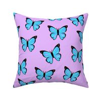 Blue morpho butterfly with purple background (medium version)