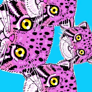 tumbling Pallas’ cat face border print pink on turquoise
