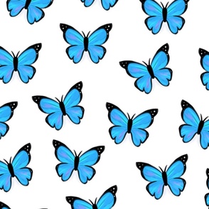 Blue morpho butterfly with white background (large version)