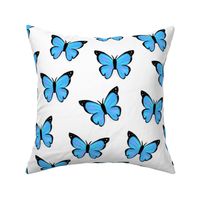 Blue morpho butterfly with white background (medium version)