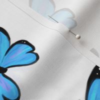 Blue morpho butterfly with white background (medium version)