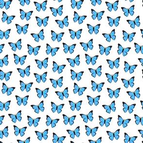 Blue morpho butterfly with white background (small version)