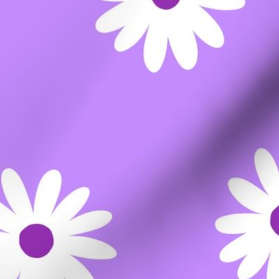 Purple simple white daisies (large version)