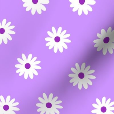 Purple simple white daisies (small version)