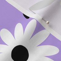 White daisy flowers with black leaves and purple lilac background (large version)