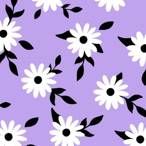 White daisy flowers with black leaves and purple lilac background (large version)