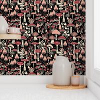 Mushroom Collection - botanical of assorted fungi - red tones, peach and cream on black - large