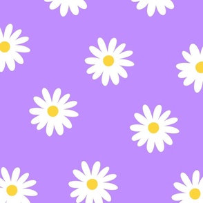 Simple white daisy flowers with purple lilac background (large size version)