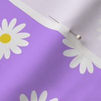 Simple white daisy flowers with purple lilac background (small size version)