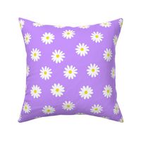 Simple white daisy flowers with purple lilac background (small size version)