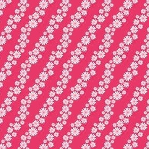 diagonal daisies pink small scale
