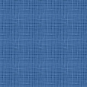 screen dark blue small scale