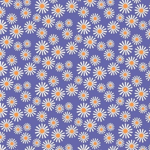 daisies - very peri - shw1007 k