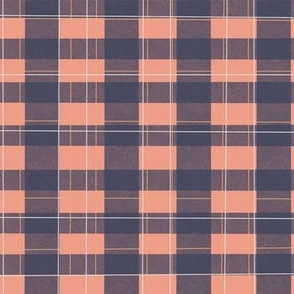 Pink blue checks pattern for Cheerful checks challenge