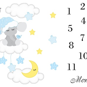 Blue Elephant Moon Stars Milestone Baby Blanket