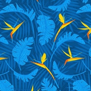strelizia palmleaves blue 6.75inch