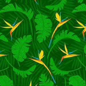 strelizia palmleaves green 6.75inch