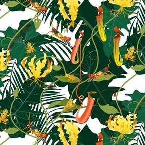 small jungle animals