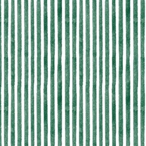 Charleston South Carolina Toile Coordinating Watercolor Stripe Dark Green