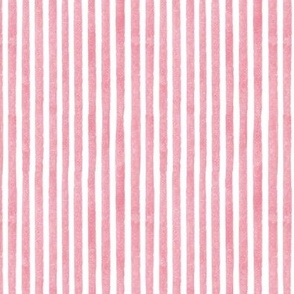 Charleston South Carolina Toile Coordinating Stripe Pink