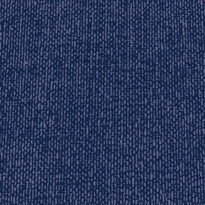 Navy and Orange Texture - Navy