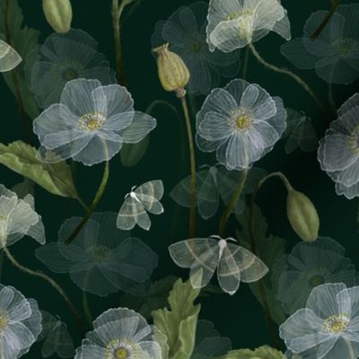 Ethereal Poppies-Small.