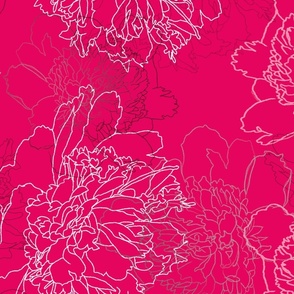 Peony drawing embedded on bright pink