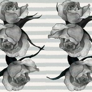 Grey Rose Stripe