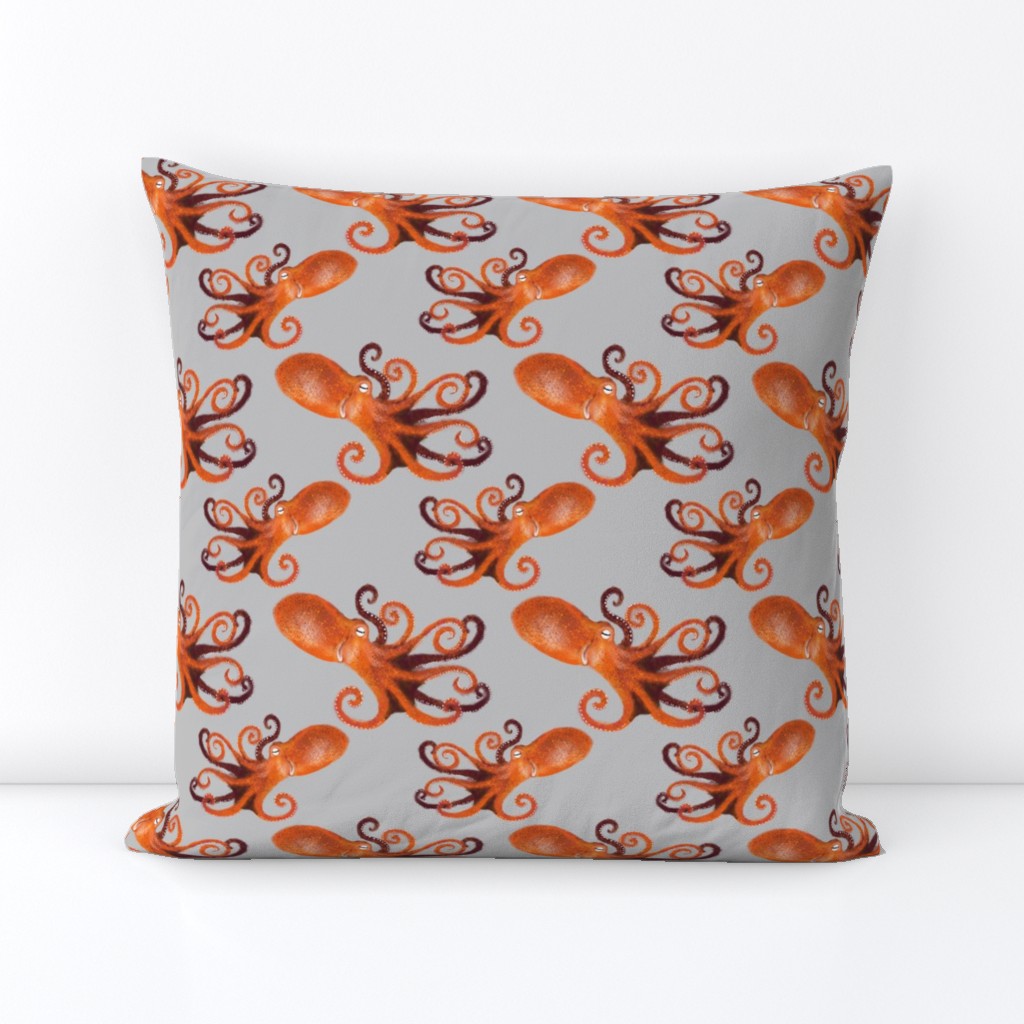 Orange Octopus on gray