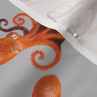 Orange Octopus on gray