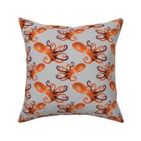 Orange Octopus on gray