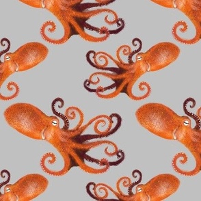 Orange Octopus on gray