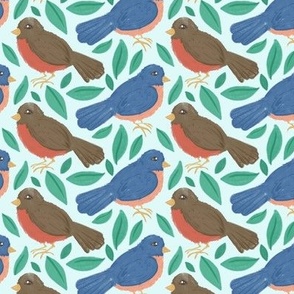 Robins and Bluebirds