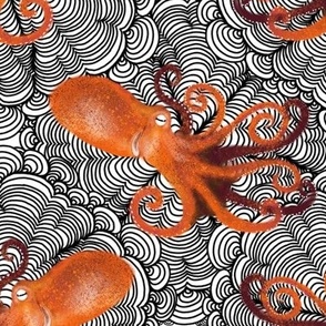 Orange Octopus - Kraken