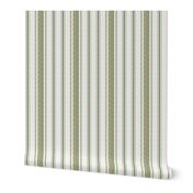 Ticking Two Stripe in Olive Greens