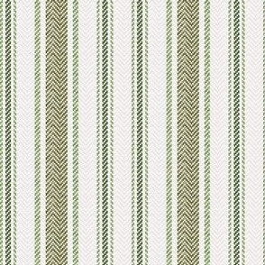 Ticking Two Stripe in Olive Greens