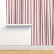 Ticking Two Stripe in Deep Red