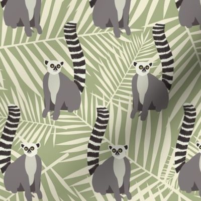 Lemurs a