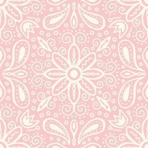 Pink Floral Paisley Pattern