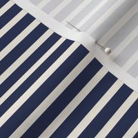 1/2 inch Bicolor Stripe - Blue Cream