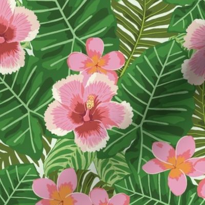 Tropical Blooms - Pinks