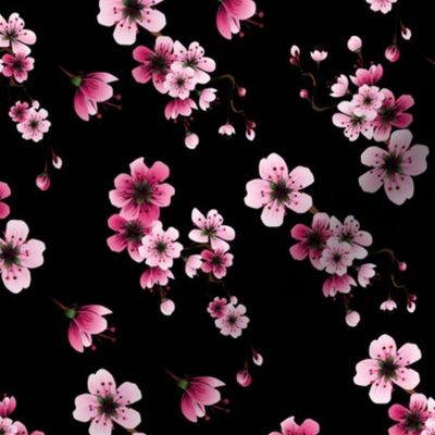 Sakura Pink on Black