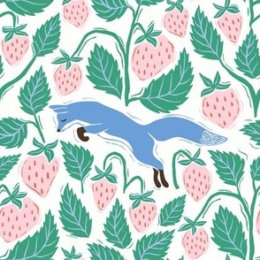 blue fox with strawberries