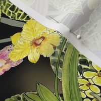 joyful-orchid-and-bromeliad-jungle-green-yellow-pink-purple-white-orange-violet-blue-on-black