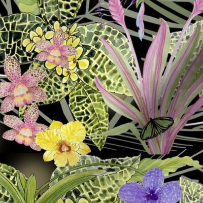 joyful-orchid-and-bromeliad-jungle-green-yellow-pink-purple-white-orange-violet-blue-on-black
