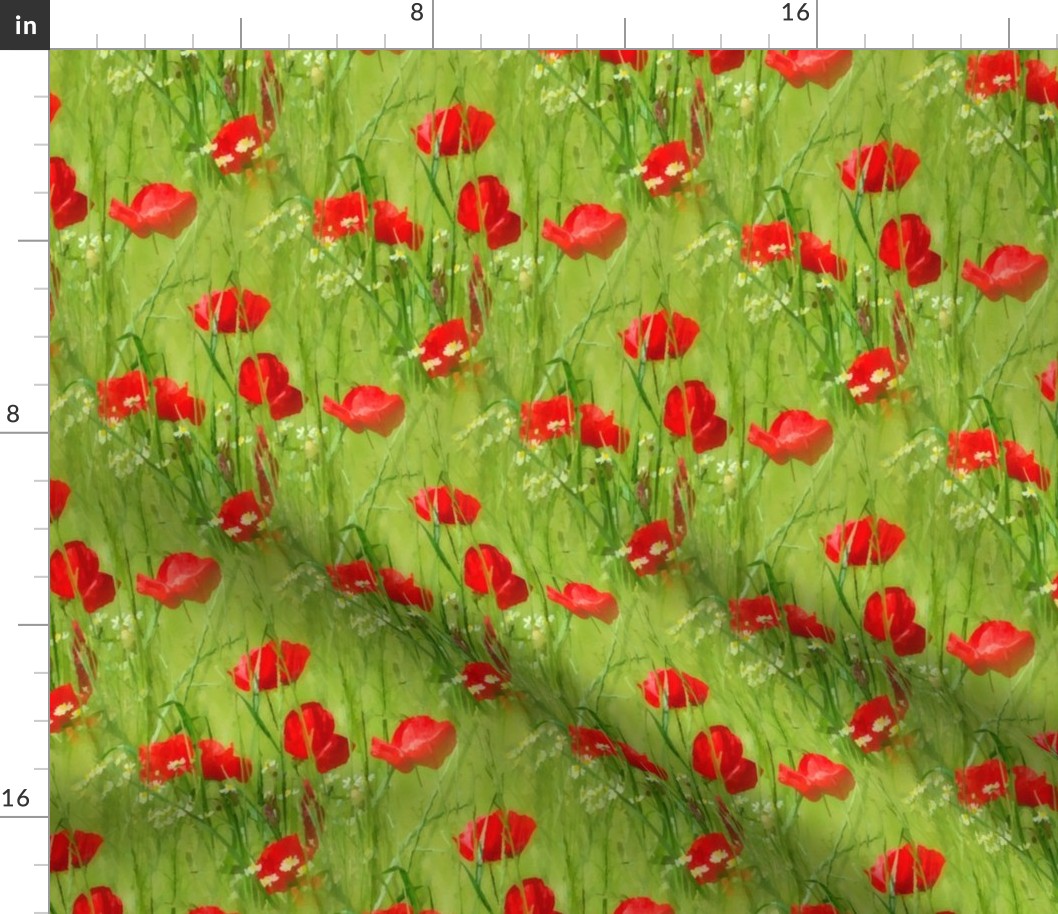 Real Red Poppies Medium