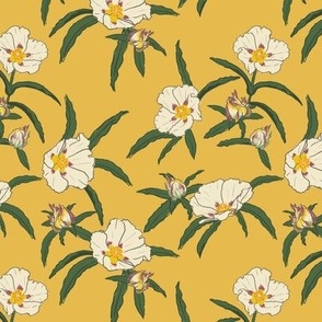 Rockrose MEDIUM - yellow 6x6