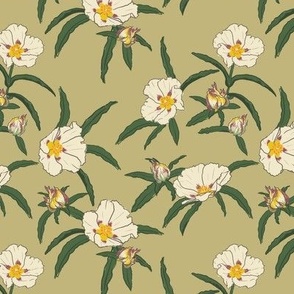 Rockrose MEDIUM - khaki 6x6